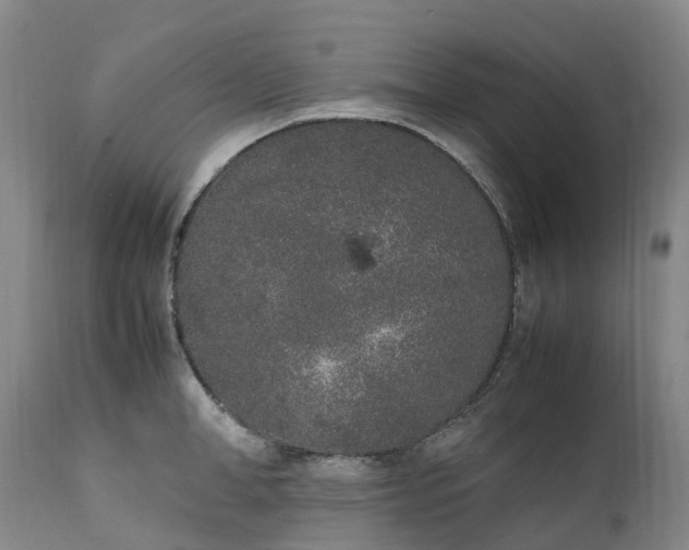 X0000111250998200907091419