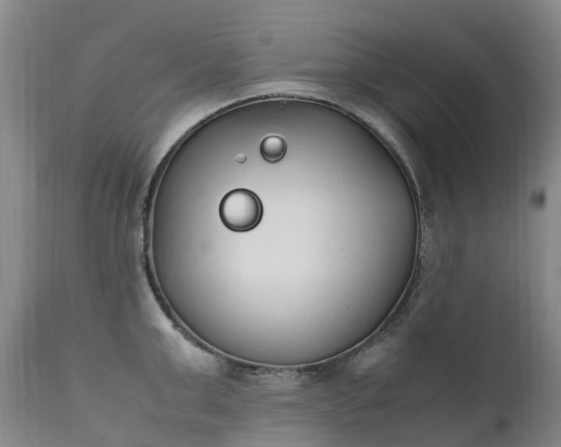 X0000111250999200907091419