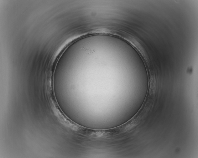 X0000111251000200907091419