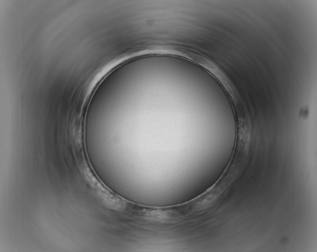 X0000111251004200907091419