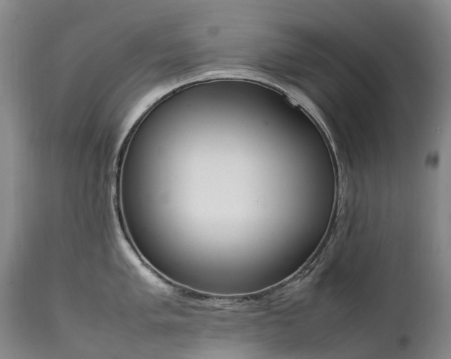 X0000111251005200907091419