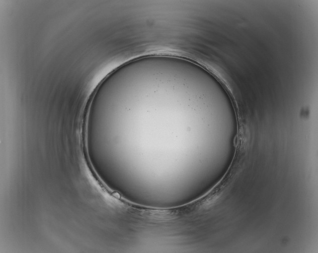 X0000111251007200907091419