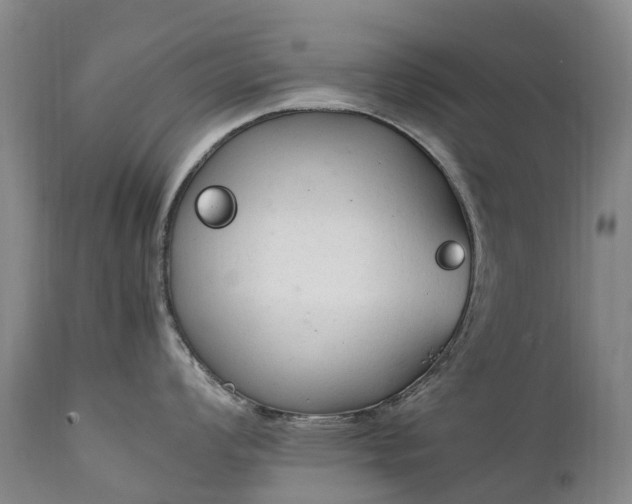 X0000111251008200907091419