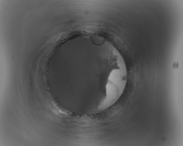 X0000111251009200907091418