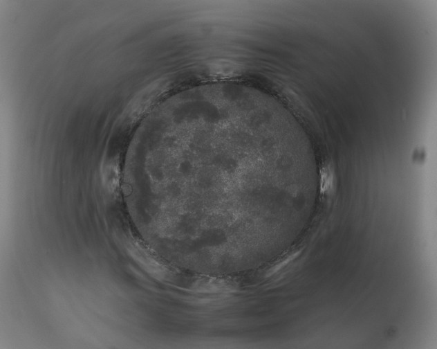 X0000111251011200907091418