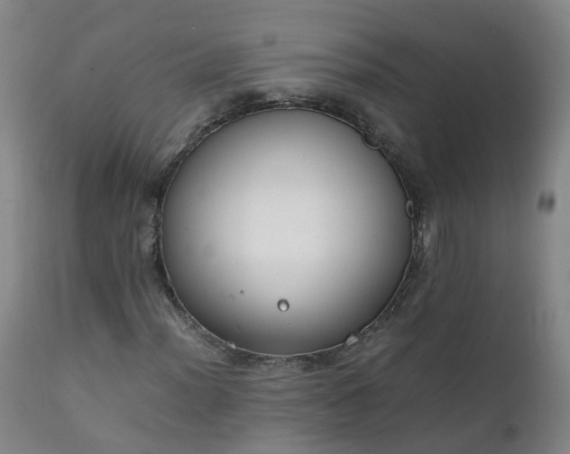 X0000111251012200907091418