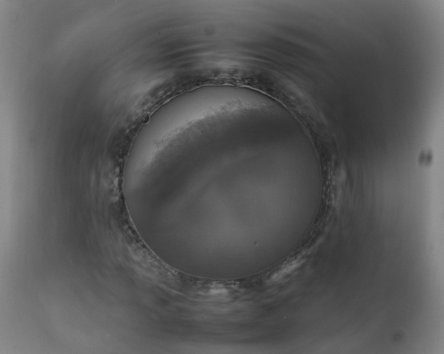 X0000111251013200907091418