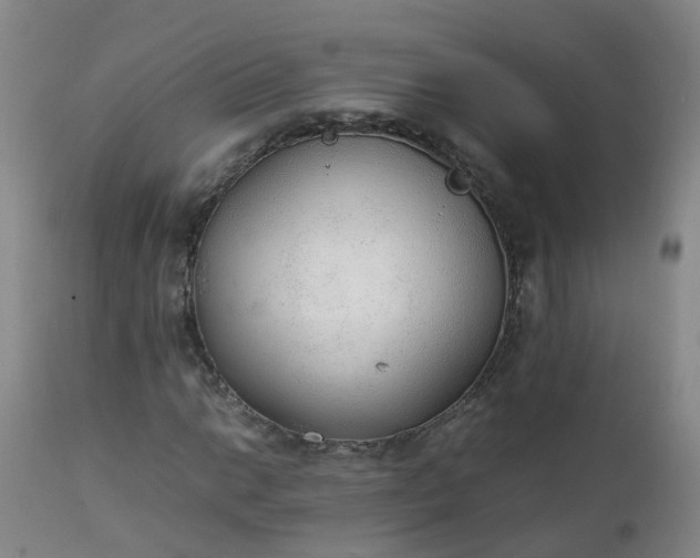 X0000111251014200907091418