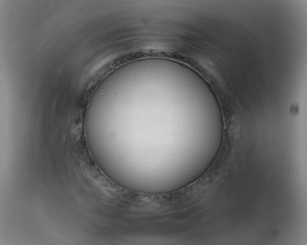 X0000111251015200907091418