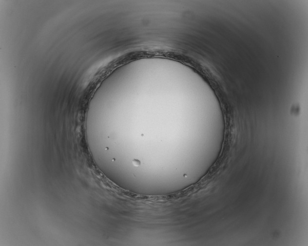 X0000111251016200907091418