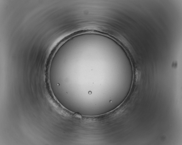 X0000111251020200907091418