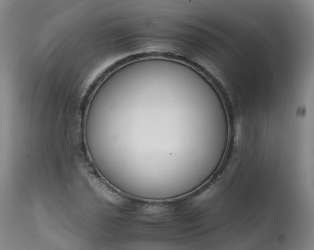 X0000111251021200907091418