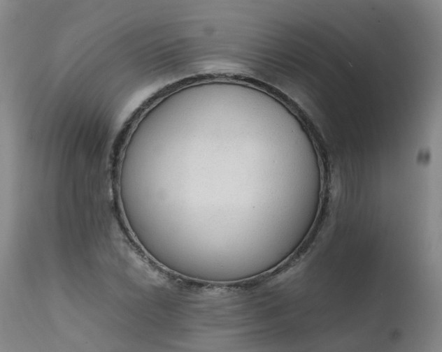 X0000111251022200907091418