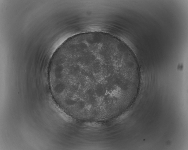 X0000111251023200907091418