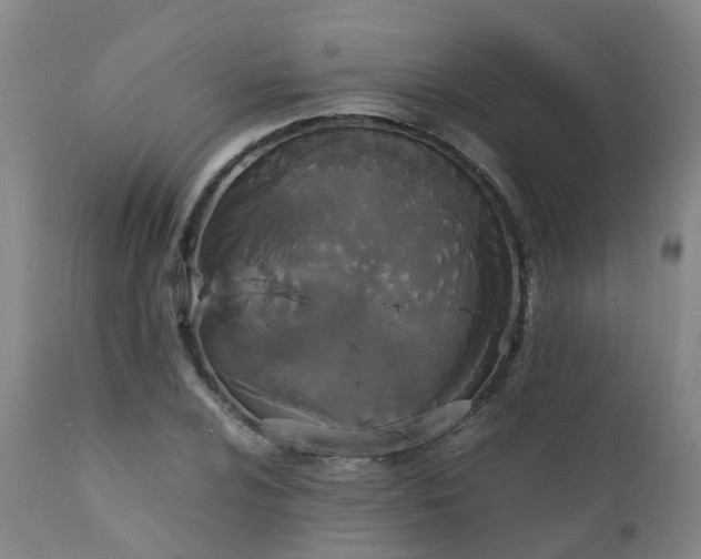 X0000111251024200907091418