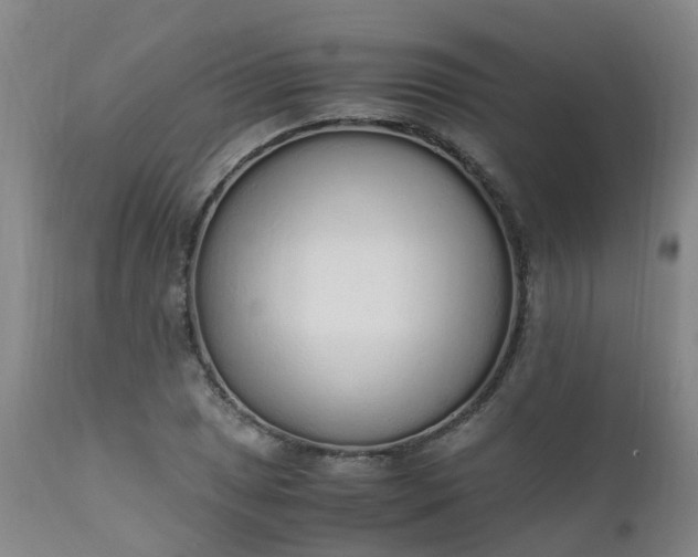 X0000111251025200907091418