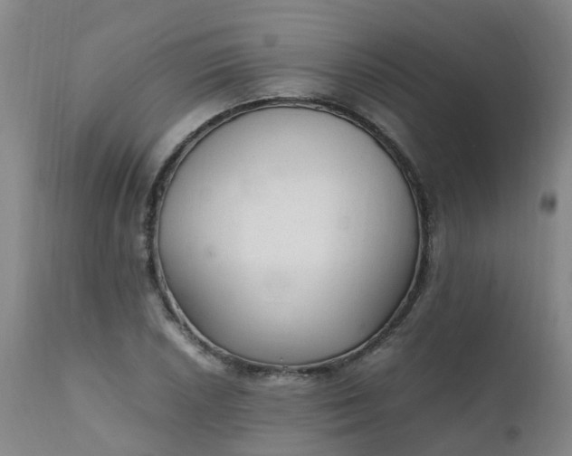 X0000111251026200907091418