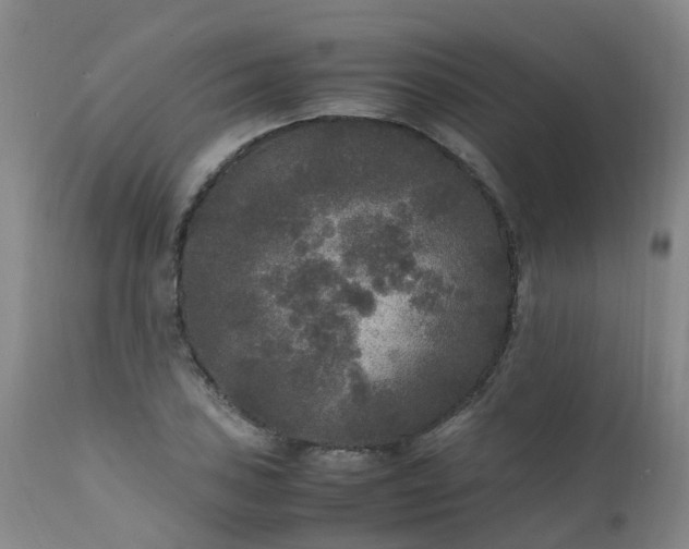 X0000111251027200907091418