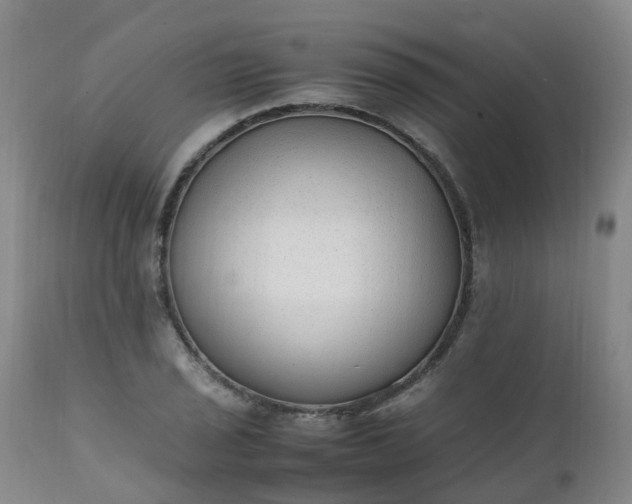 X0000111251029200907091418