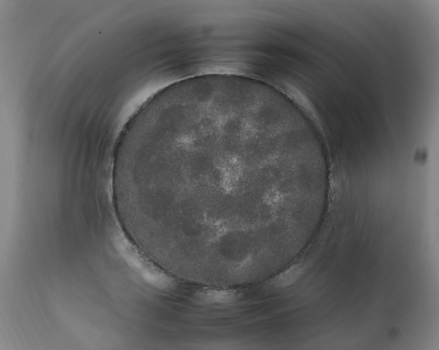 X0000111251035200907091418