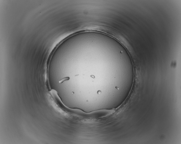 X0000111251036200907091418