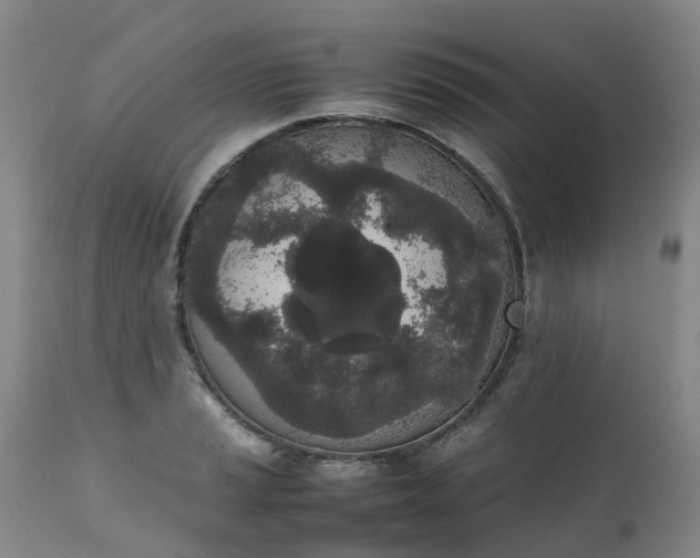 X0000111251037200907091418