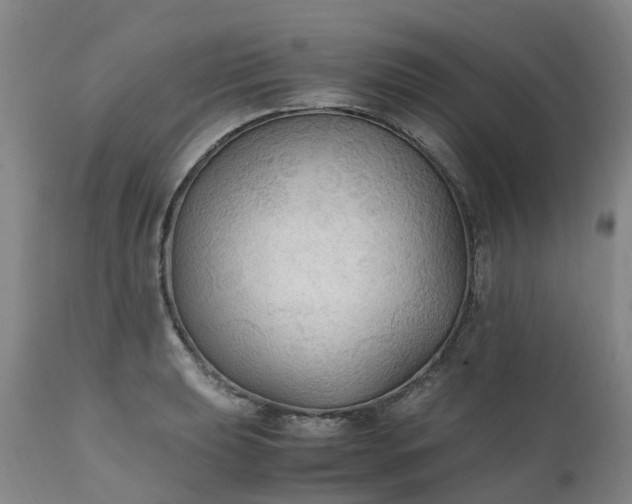 X0000111251039200907091418