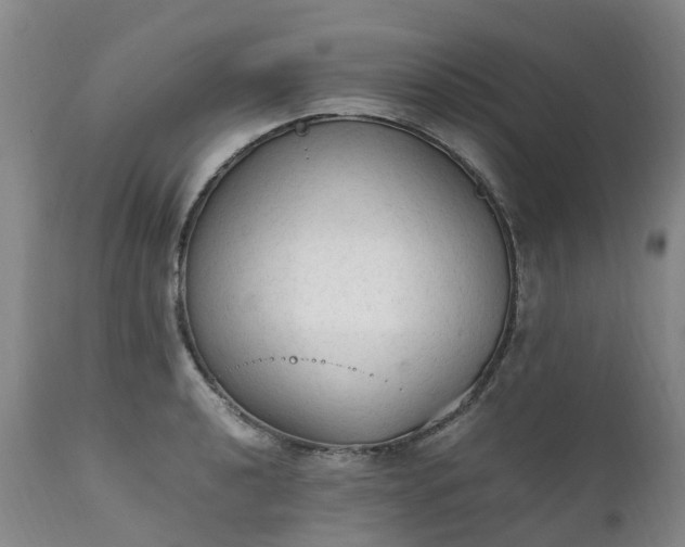 X0000111251040200907091418