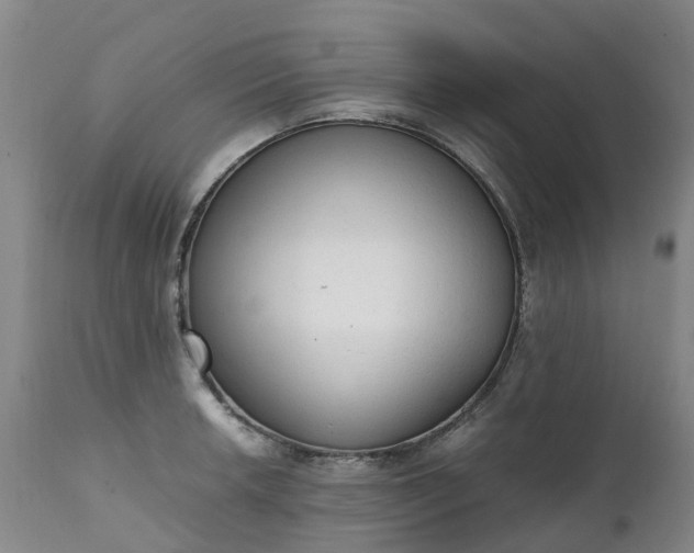 X0000111251042200907091418