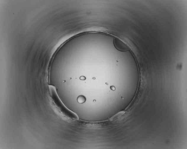 X0000111251044200907091419