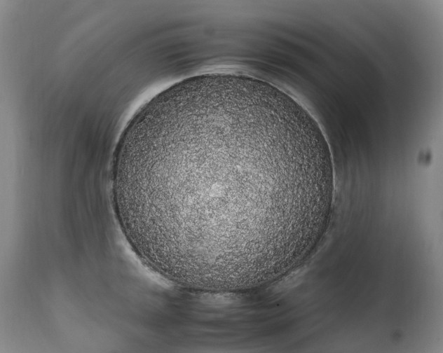 X0000111251045200907091419