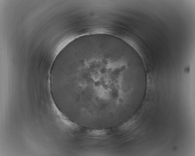 X0000111251047200907091419