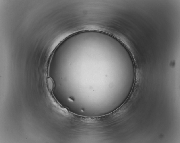 X0000111251048200907091419