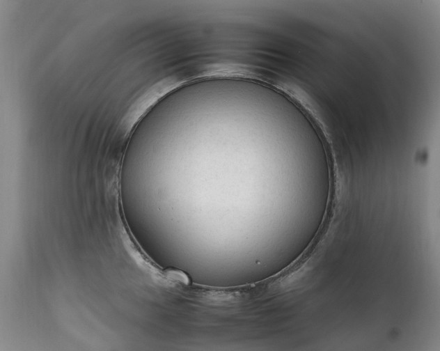 X0000111251049200907091419