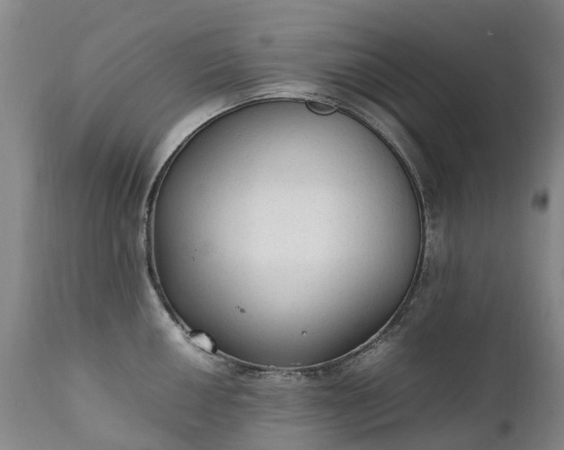 X0000111251050200907091419