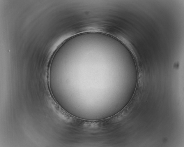 X0000111251051200907091419