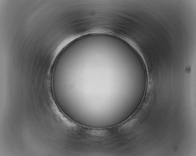 X0000111251053200907091419