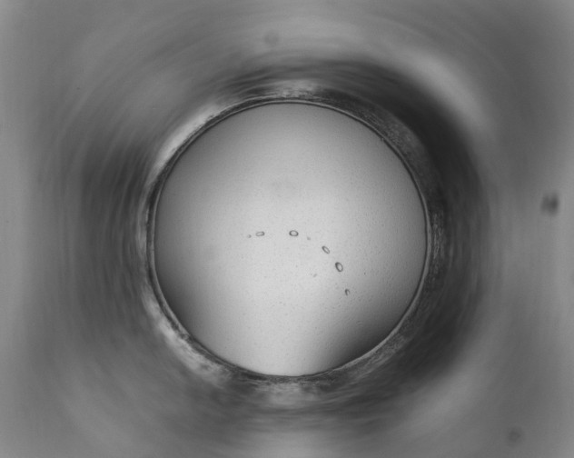 X0000111251054200907091419