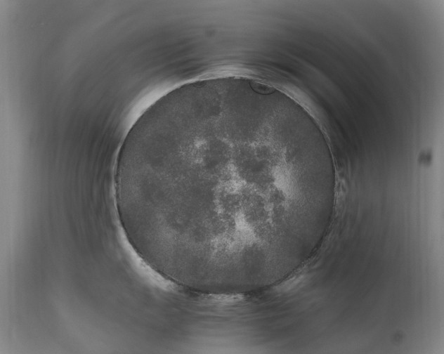 X0000111251055200907091419