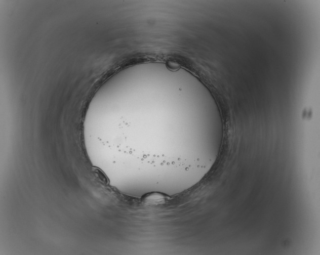 X0000111251057200907091418