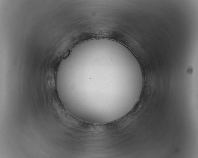 X0000111251058200907091418