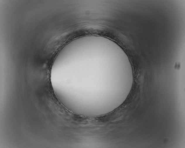 X0000111251061200907091418