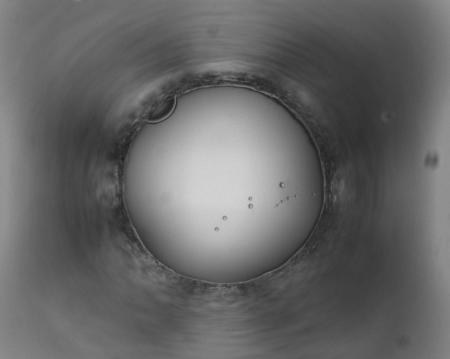 X0000111251062200907091418