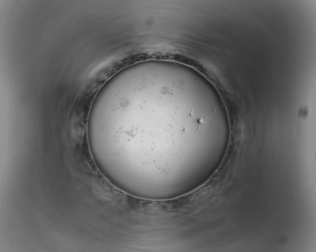 X0000111251063200907091418