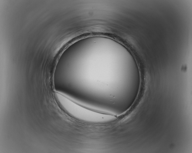 X0000111251065200907091418