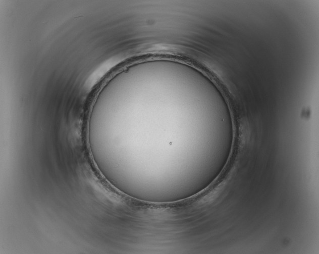 X0000111251066200907091418