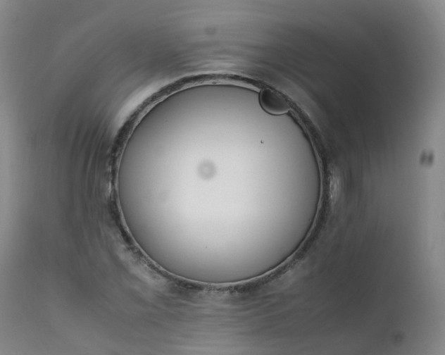 X0000111251069200907091418