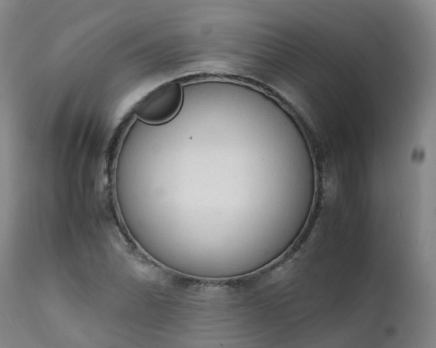 X0000111251070200907091418