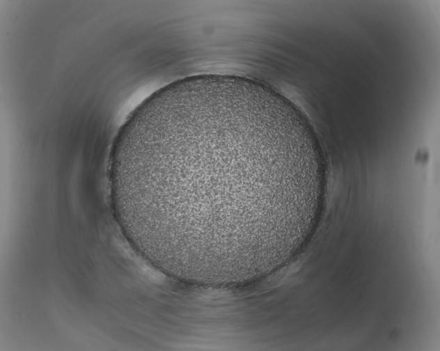 X0000111251071200907091418