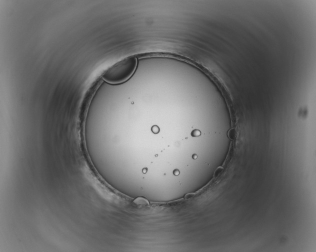 X0000111251072200907091418